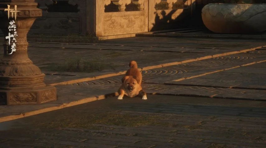 申花备战京,新教练及外,援将揭开面,Bet365网址,体育娱乐,官方网址,在线投注,体育平台,比分直播